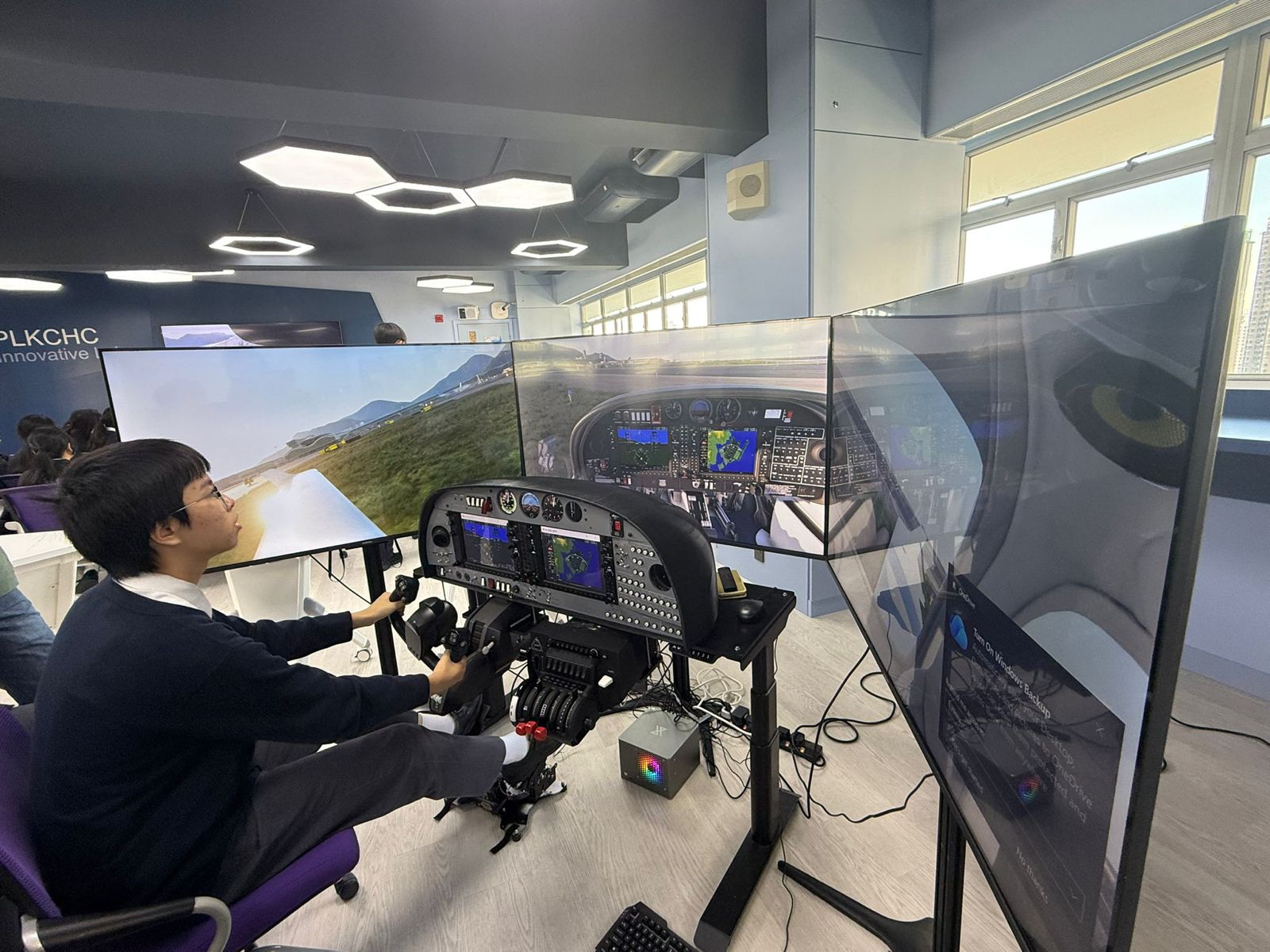 Flight Simulation Experience